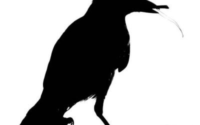 “Quoth the raven, ‘Nevermore.'”