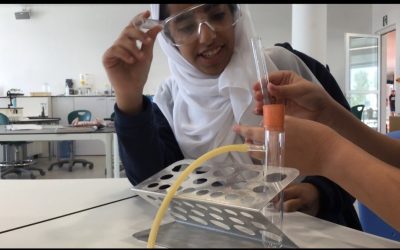 Fizz Reactions in G7 Science