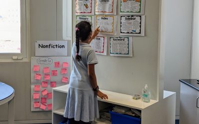 Nonfiction Form and Function in Information Literacy Classes!