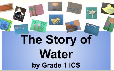 The Story of Water