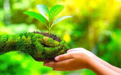 Health and environment     الوحدة الأولى (الصحة والبيئة)