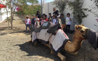 KG2 Mrs Nicholson A Snapshot of Week 21 – Oman Week