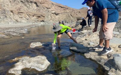 Science in the PYP / Grade 5 Wadi Hibi Field Trip