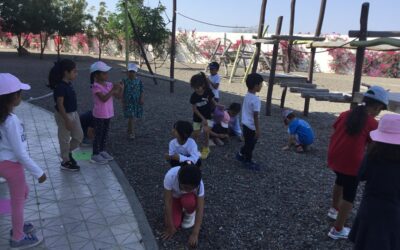 KG2 Mrs Nicholson A Snapshot of Week 25