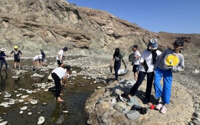 Wading in Wadis.