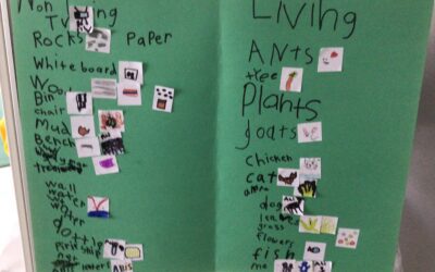 Sharing The Planet in Grade One