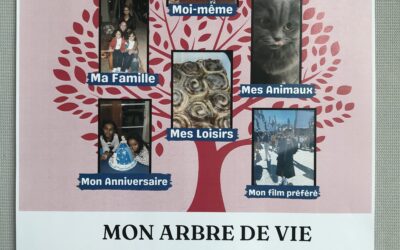 Tree of life from the Grade 9 French students