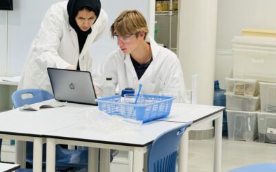 Grade 12 Chemistry Students IAs raw data collection