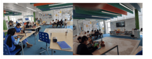 Grade 5 AMT
