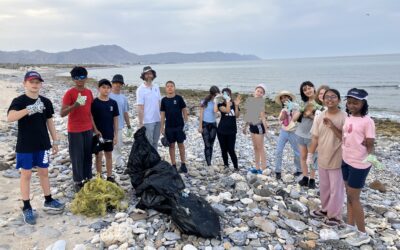 Service and Action/ Creativity, Activity and Service