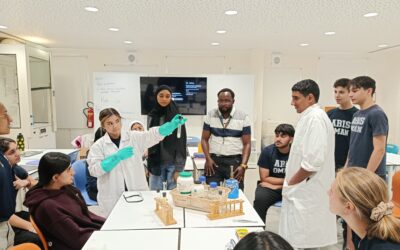 Grade 10 Science: From slow burns to a bang!