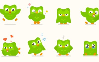 French Connections: Races, Blogs, and Brave Steps (Week 5)