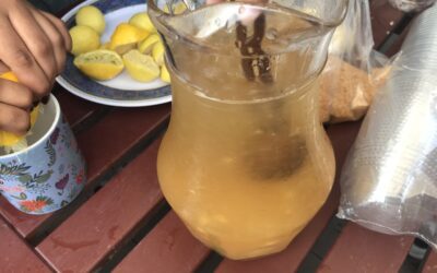 حار وبارد  في الصف السادس