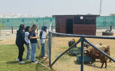 G.8 Science: Systems, Balance and the Human Footprint.