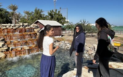 French Connections: Hobbies, Voices, and Big Finishes (T2 / W5)