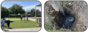 Growing Together: Celebrating Learning and Taking Action
