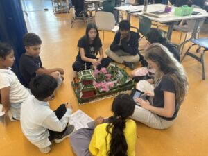 Upcycled National Park Models Grade 8 vs Grade 2