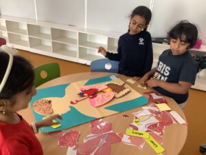 Exploring Our Systems: What’s Happening in Grade 3C
