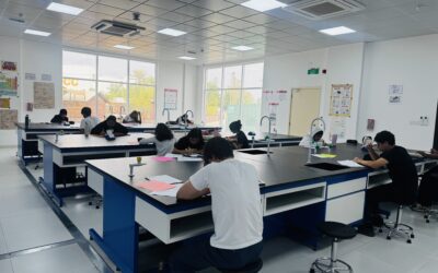 G11 DP Chemistry Update